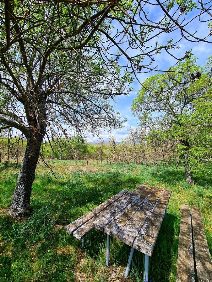 Acogedora Y Romantica Casita En La Sierra Garganta De Los Montes Exterior photo